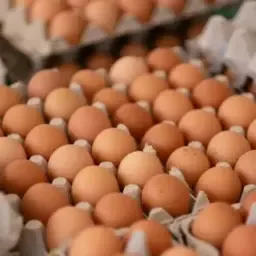 Căutați ouă proaspete? De la găini crescute în aer liber din martie 2026