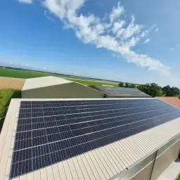 https://cdn.farmtrade.nl/media/168262/conversions/jseOJv-thumbnail.webp
