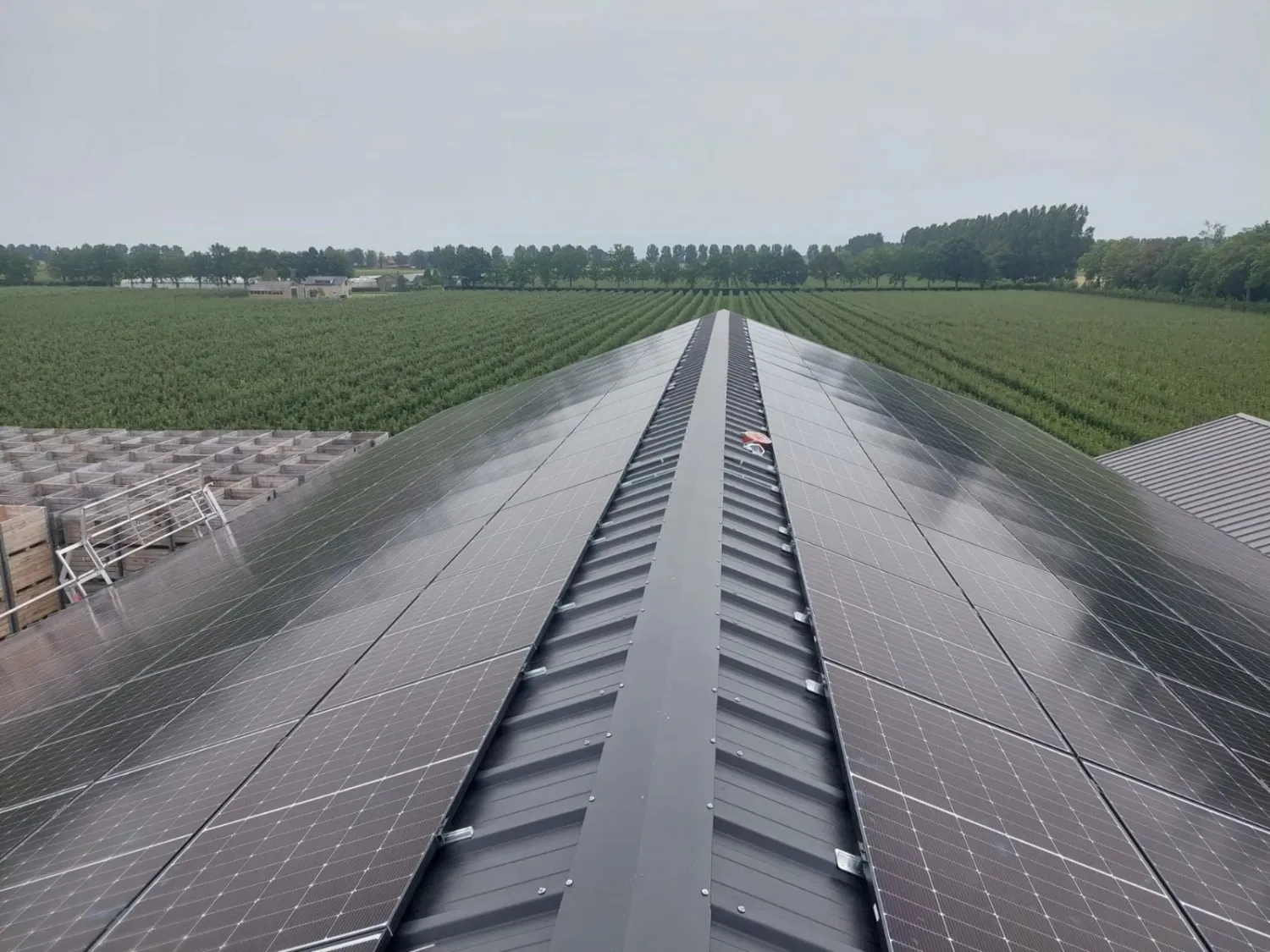 Zonnepanelen kopen? Ontdek de mogelijkheden en subsidies!