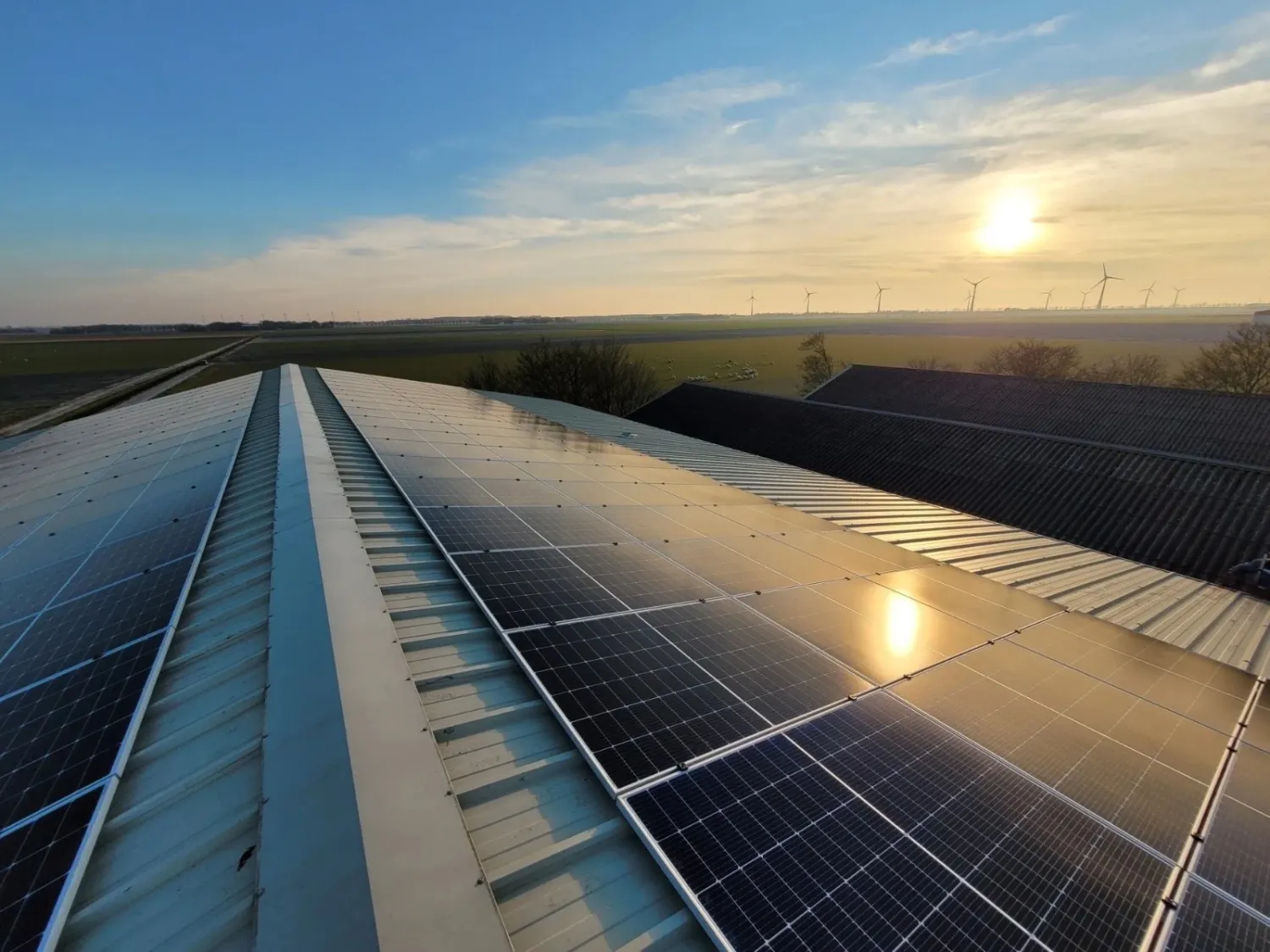 Zonnepanelen kopen? Ontdek de mogelijkheden en subsidies!