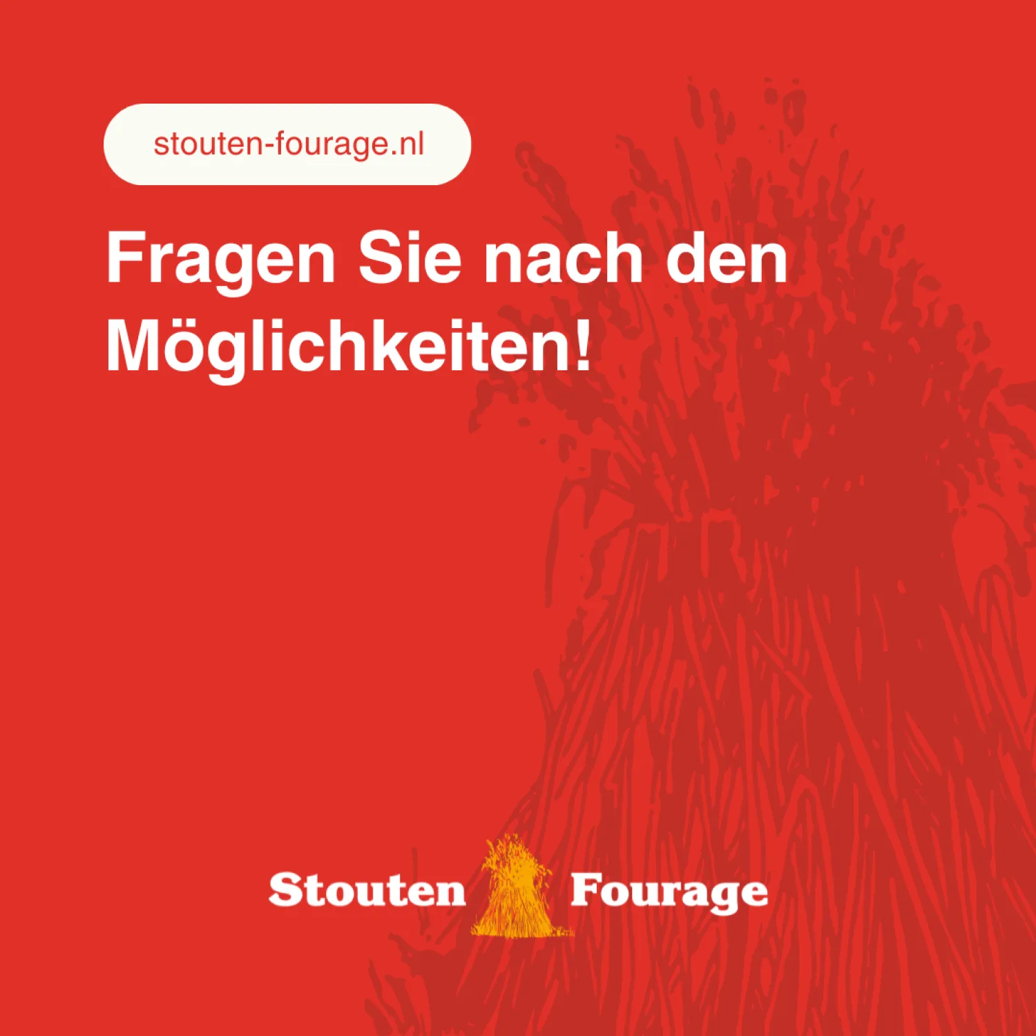 Paie tocată: Direct de la producător | Calitate superioară