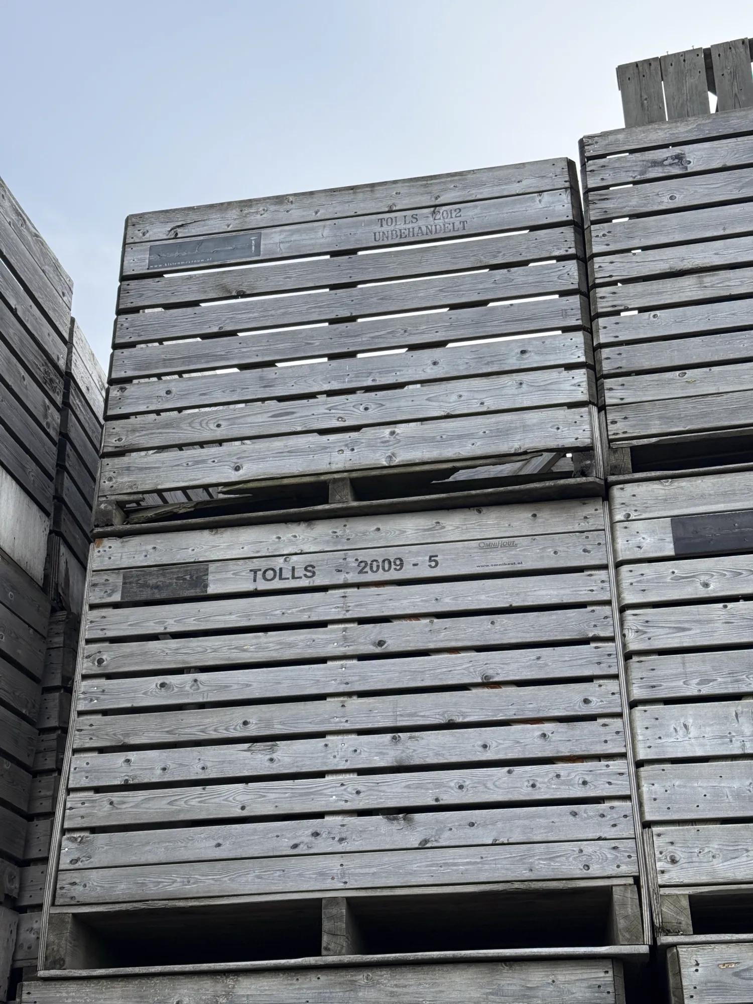 Gebruikte aardappelkisten 120x160x130 - Ventilatiekisten