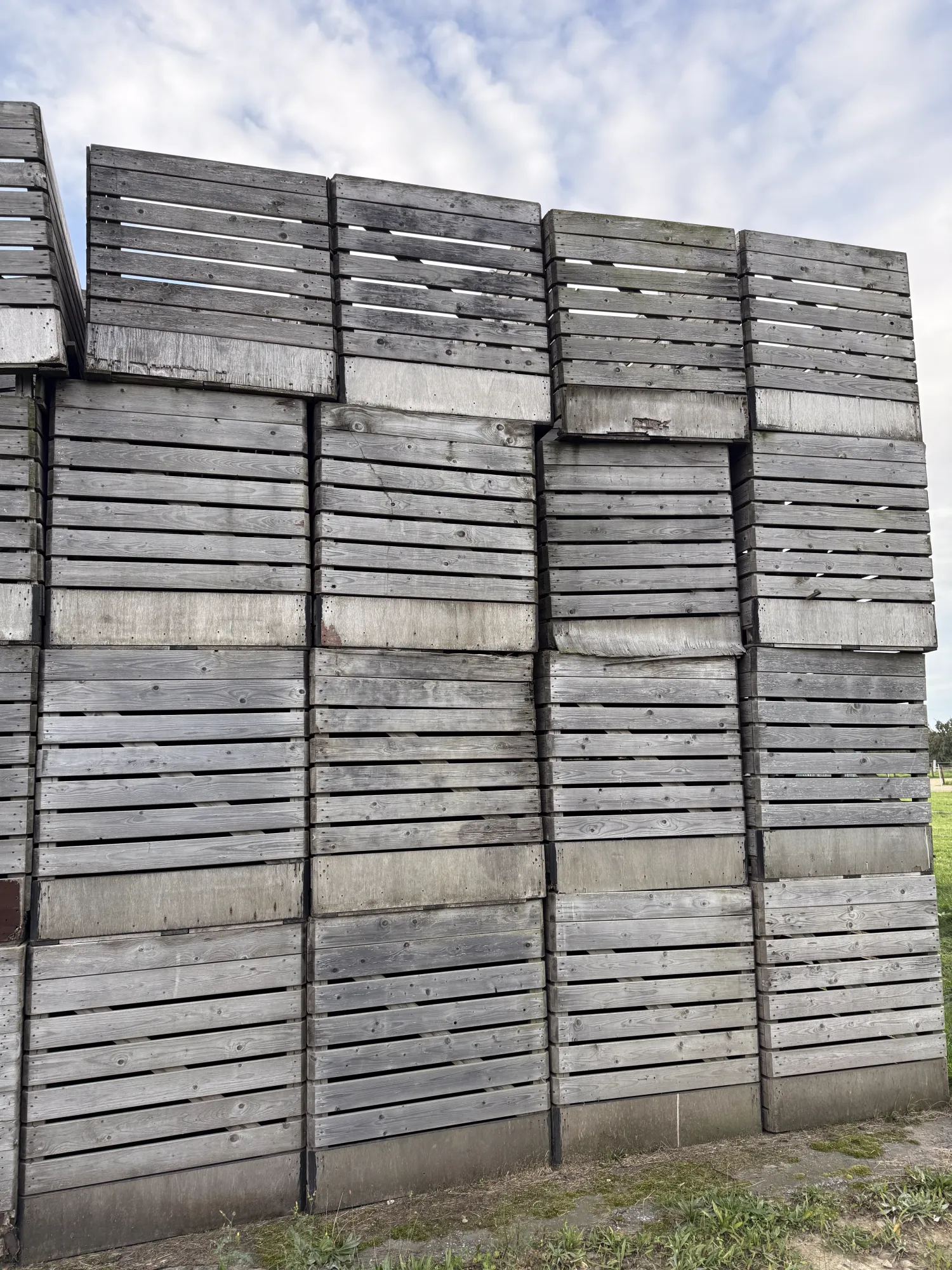 Gebruikte aardappelkisten 120x160x130 - Ventilatiekisten