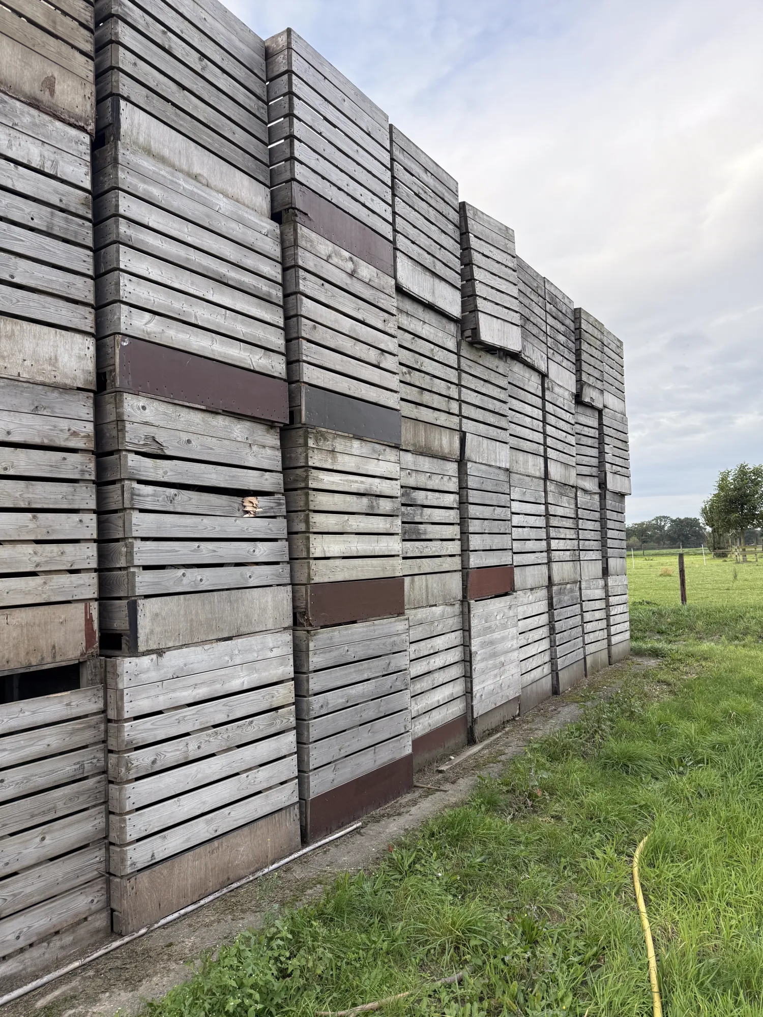 Gebruikte aardappelkisten 120x160x130 - Ventilatiekisten