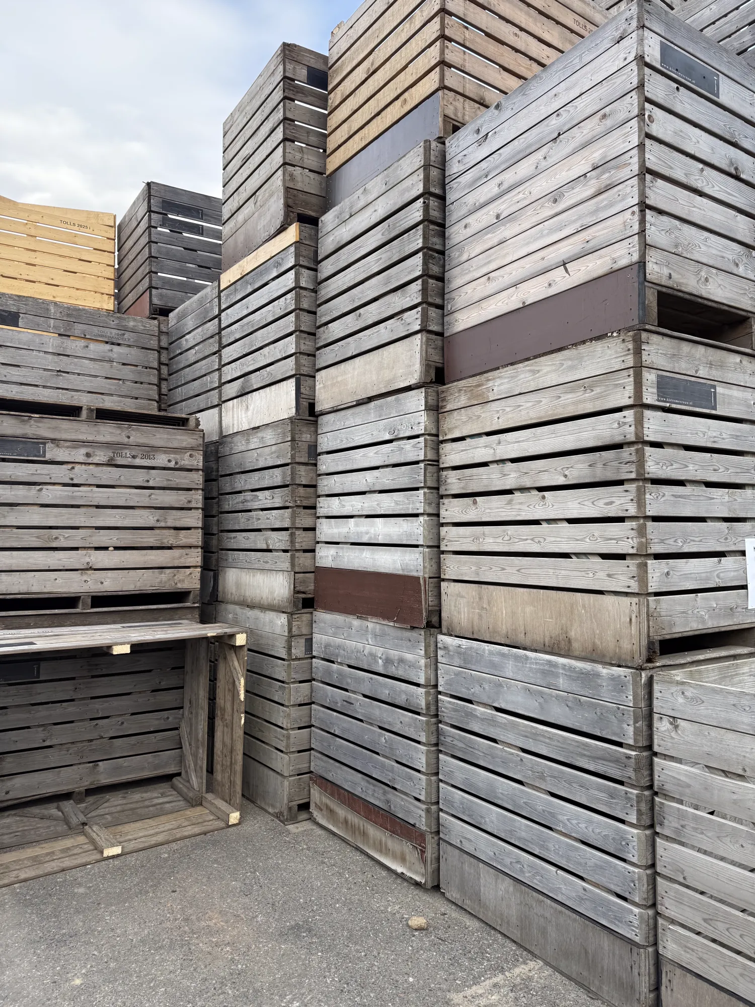 Gebruikte aardappelkisten 120x160x130 - Ventilatiekisten