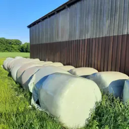 Ensilage/Wrapballer til heste, 1. slæt maj 2024