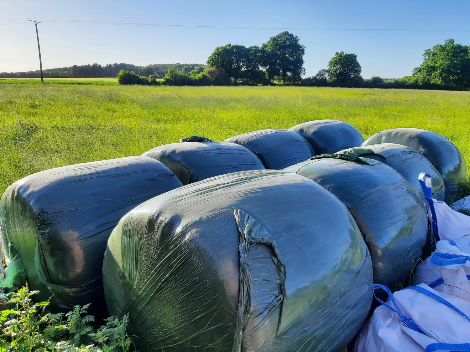 Silage Ballen zu verkaufen – Rinderfutter, 3. Schnitt
