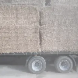 Люцерна на продаж: Сушена на сонці, літо 2025, великі тюки