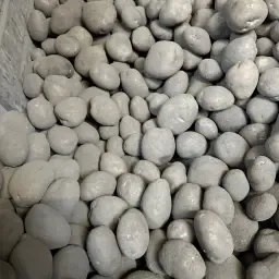 https://cdn.farmtrade.nl/media/169040/conversions/cOcoLL-thumbnail.webp