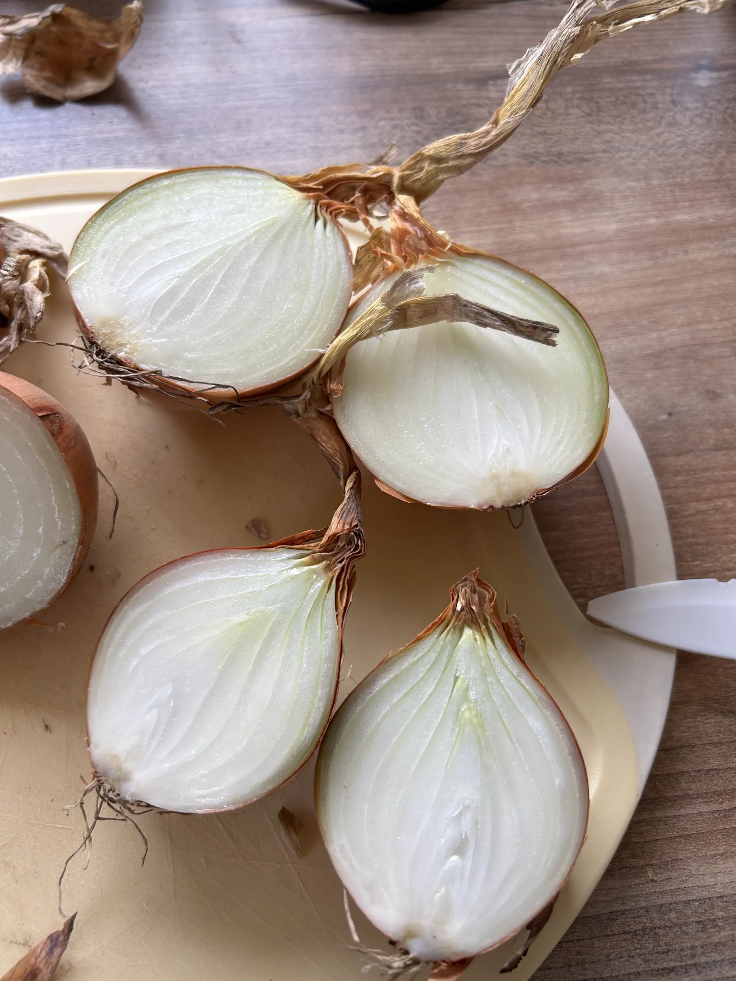Oignons à vendre : 150 t, variété Fasto
