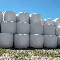 Ronde balen maissilage (bio) te koop