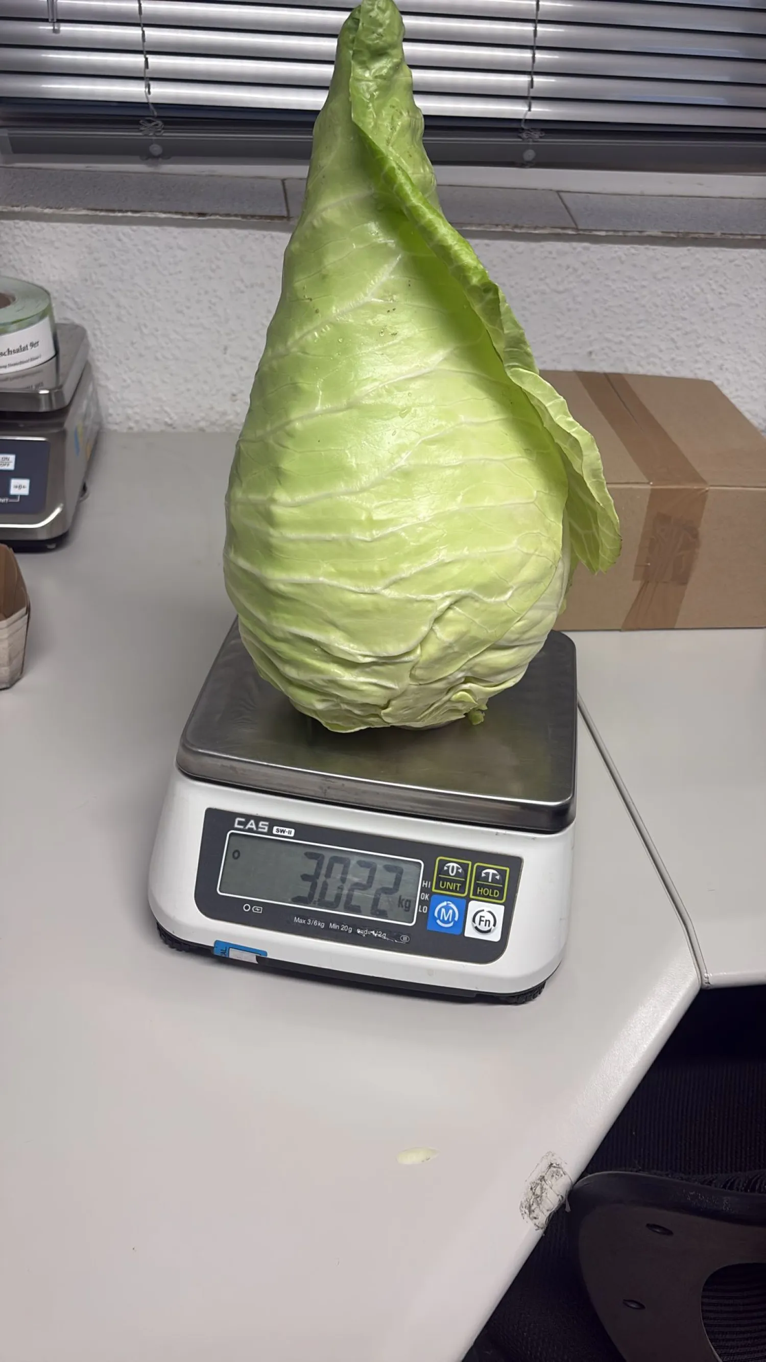 Savooiekool kopen: rechtstreeks van het land | Diverse sorteringen