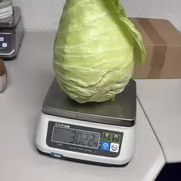 Savooiekool kopen: rechtstreeks van het land | Diverse sorteringen