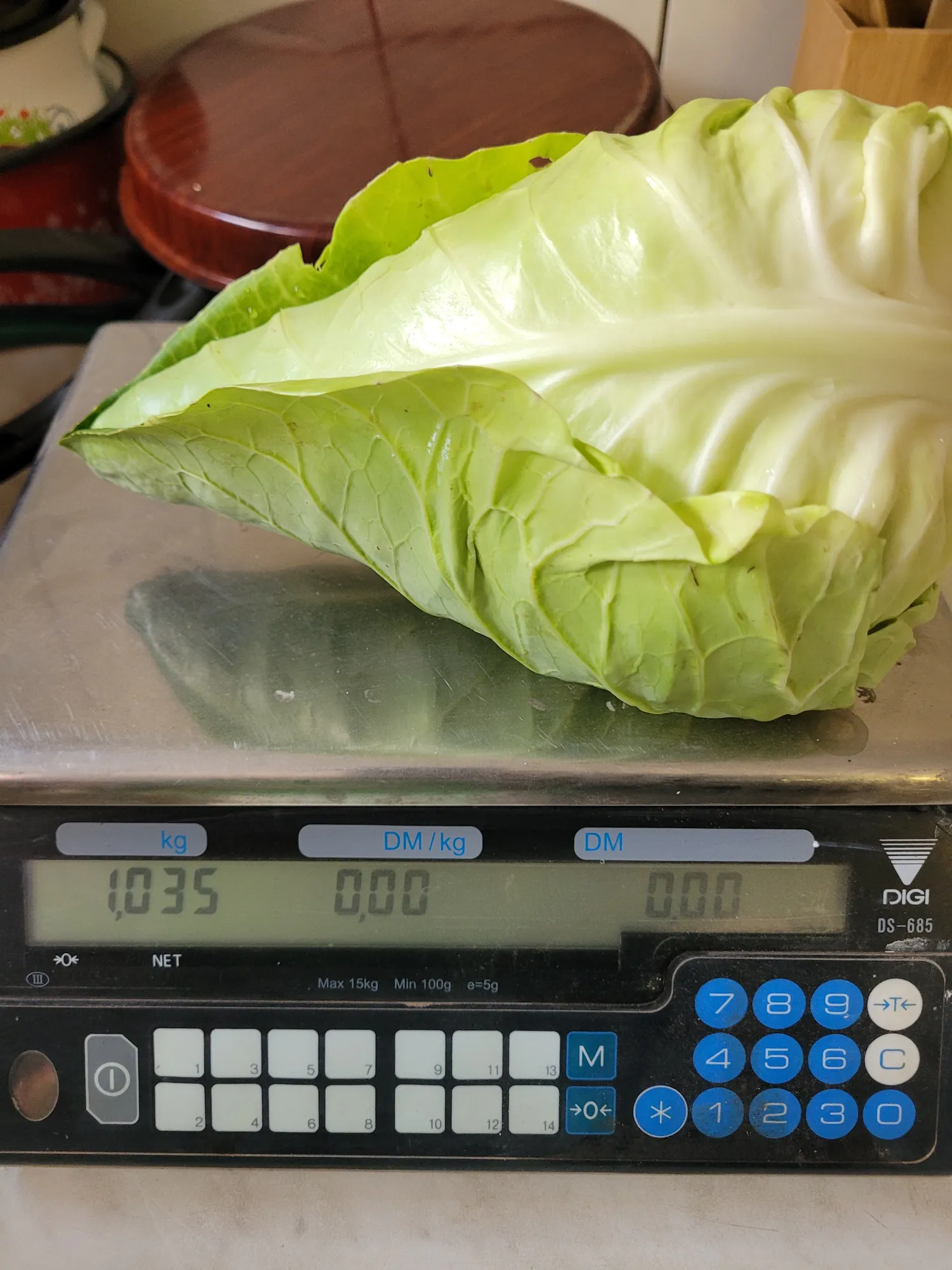 Savooiekool kopen: rechtstreeks van het land | Diverse sorteringen