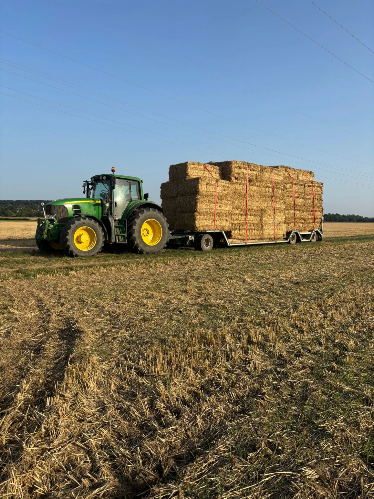 Cumpărați baloți de paie de orz - Pachete mari pentru agricultură