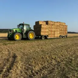 Cumpărați baloți de paie de orz - Pachete mari pentru agricultură