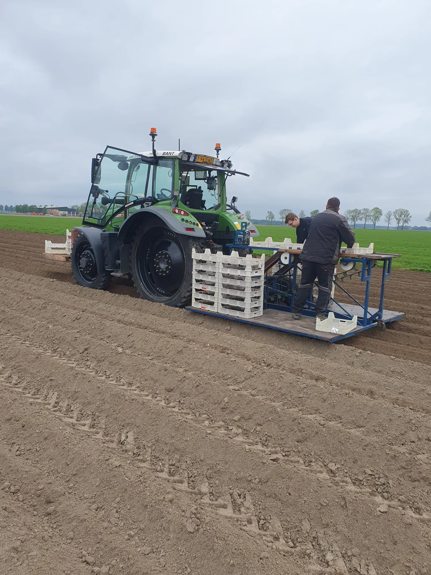 Pootaardappelteler gezocht in Noordoostpolder