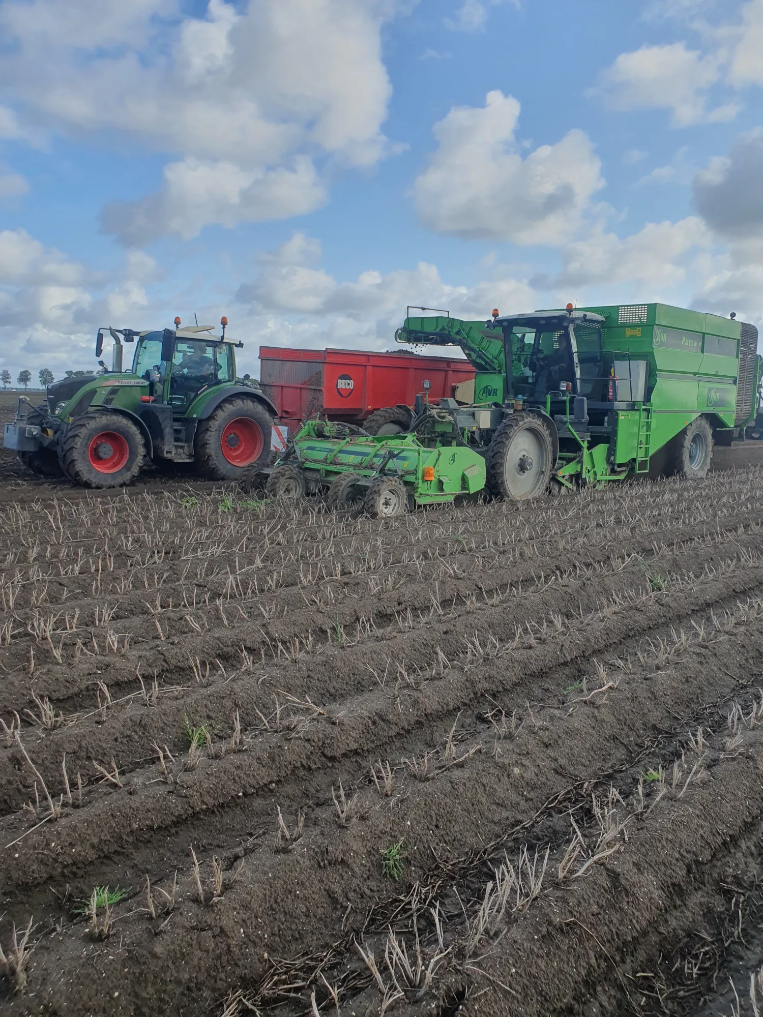 Pootaardappelteler gezocht in Noordoostpolder