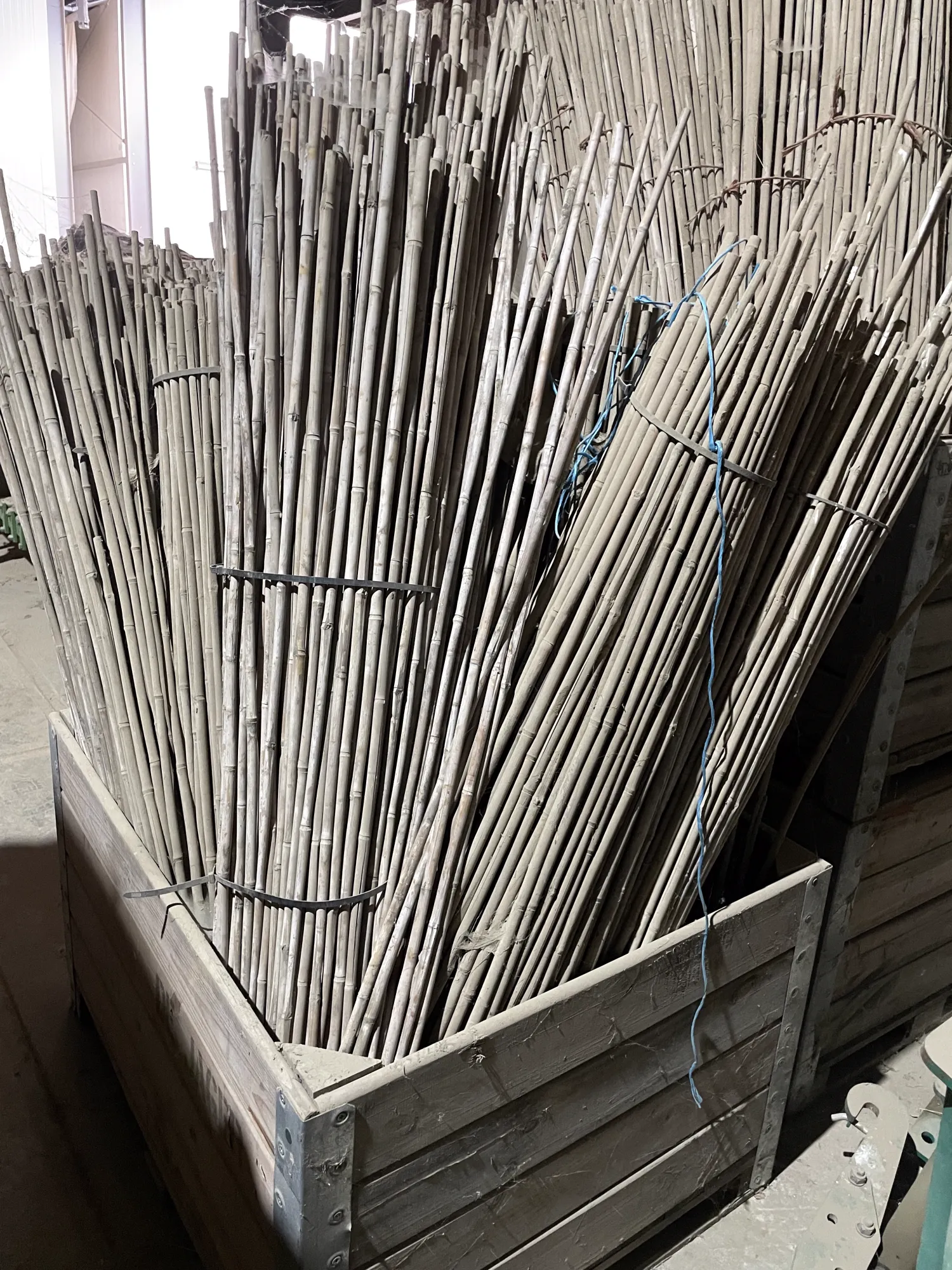 Gratis Tonkinstokken – 4000 stuks beschikbaar