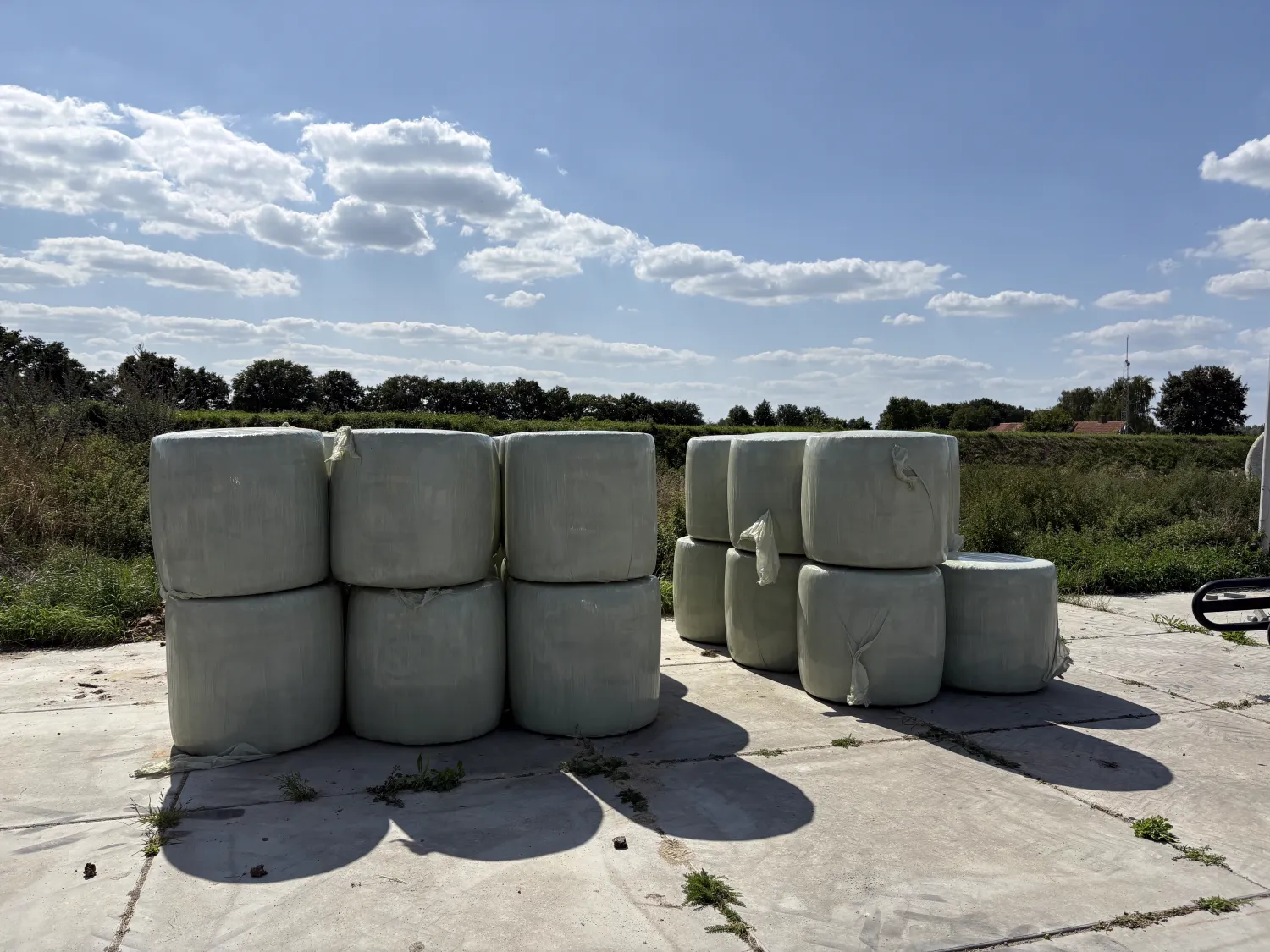 Midibalen Gras Oktober 2025 – Schappelijke Prijs