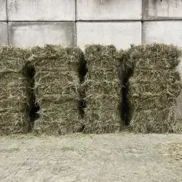 Paardenhooi van topkwaliteit | Perfect hooi voor uw paard