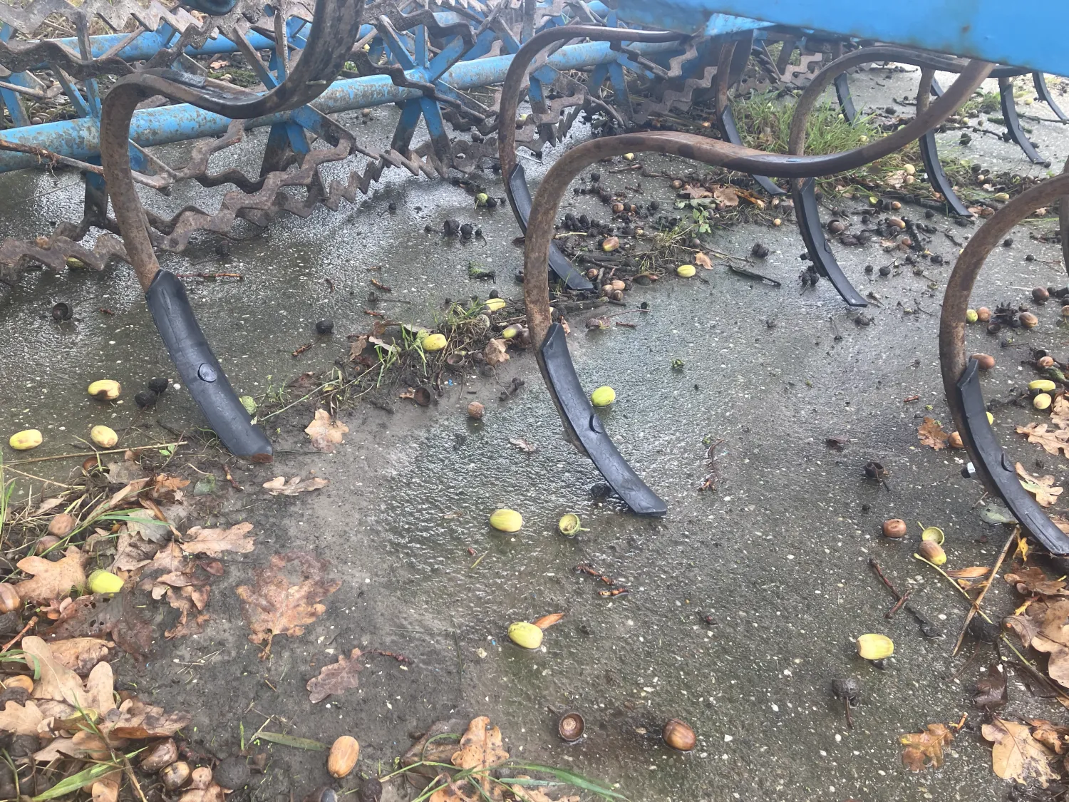 Kockerling triltand cultivator 3m - Landbewerking
