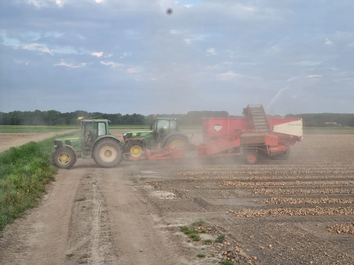 Amac E2 uienlader te koop | Efficiënte uienoogst