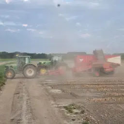 https://cdn.farmtrade.nl/media/169575/conversions/jADUEM-thumbnail.webp