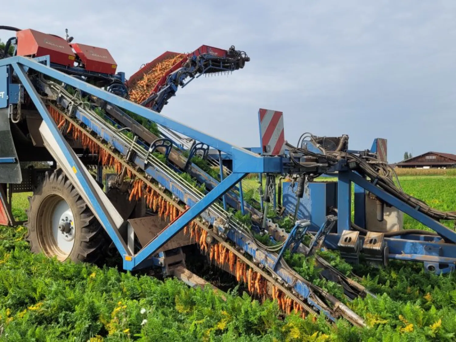 Recherche Asalift T255 - Acheter chariot élévateur