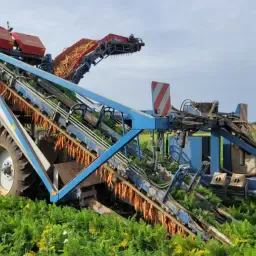 Recherche Asalift T255 - Acheter chariot élévateur
