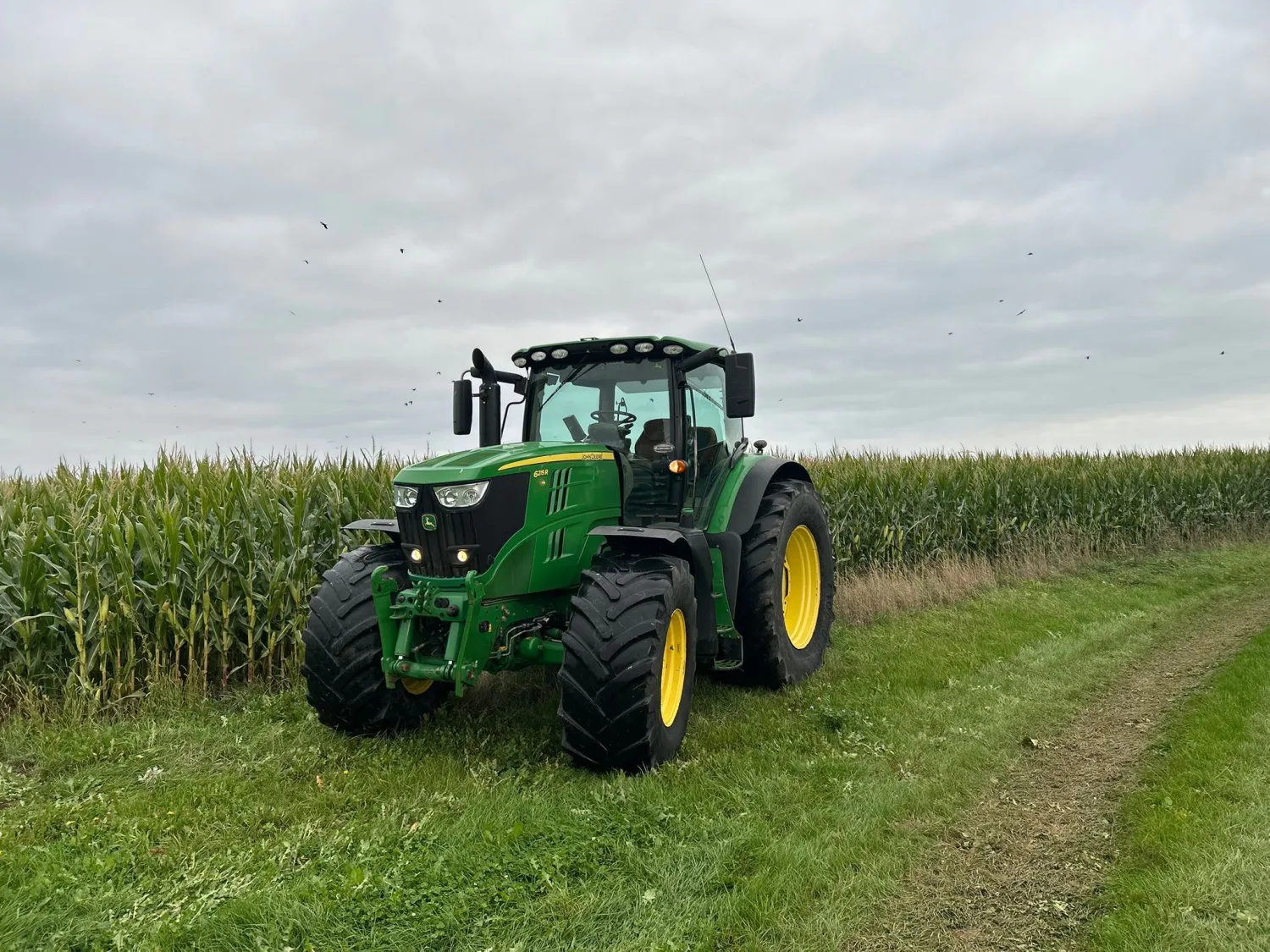 John Deere 6215R Traktor, 2015, 9200 Stunden