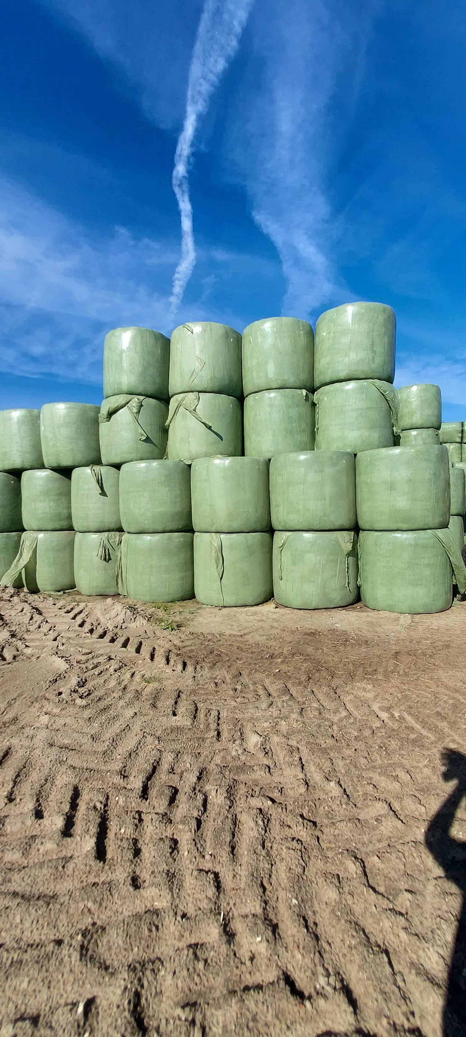 Ronde balen voor paarden | Topkwaliteit hooi