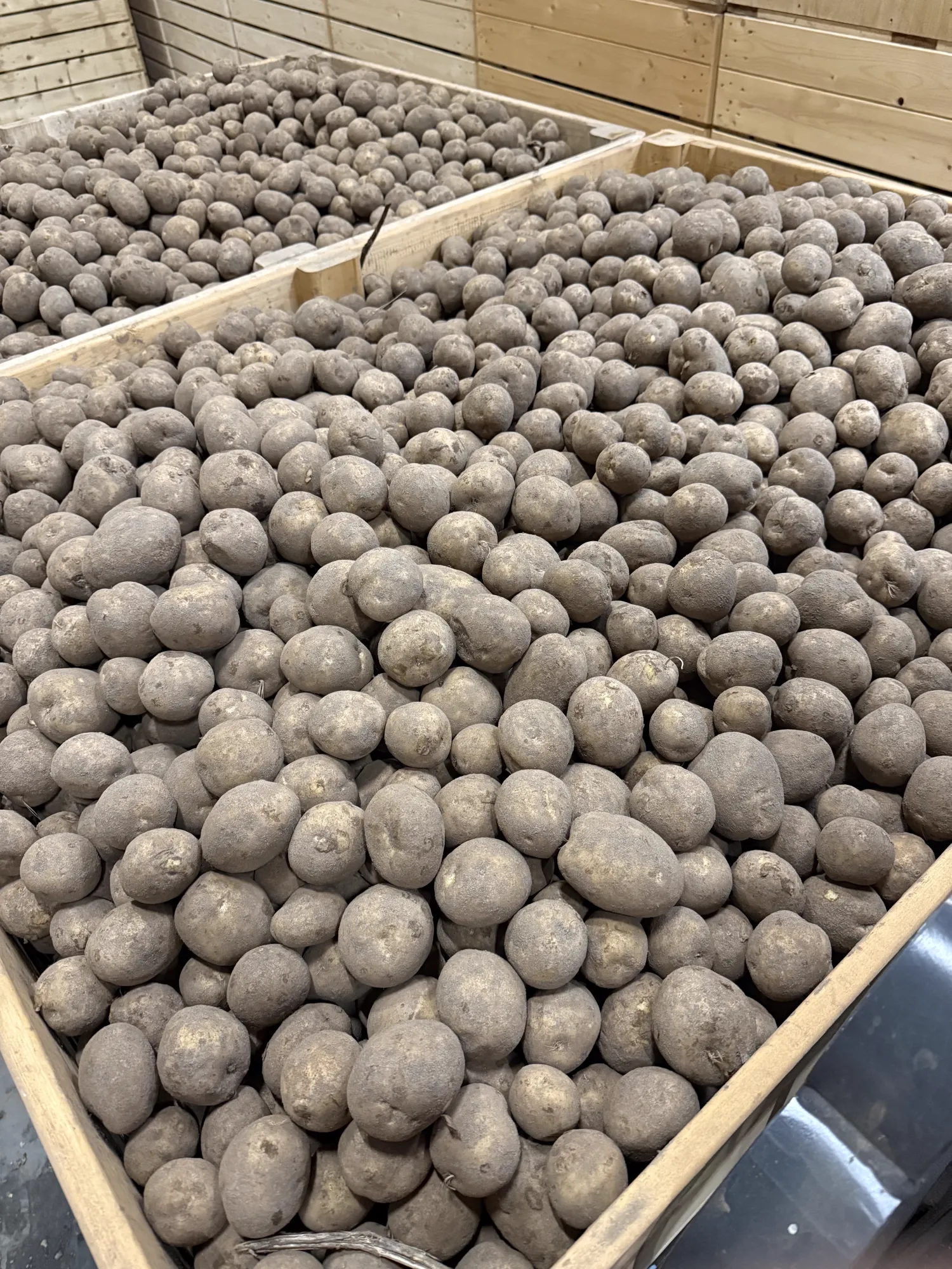 Arsenal Aardappelen - Consumptie, Kruimig