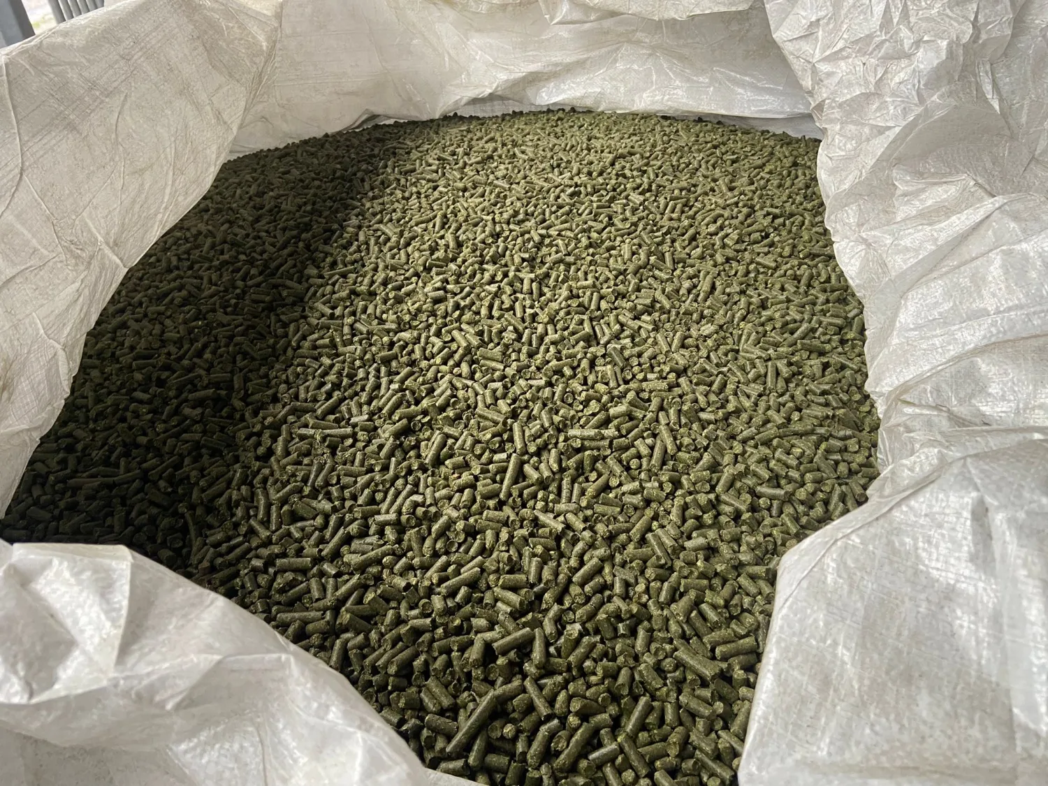 Esparcettebrok: Natuurlijk krachtvoer voor gezonde paarden