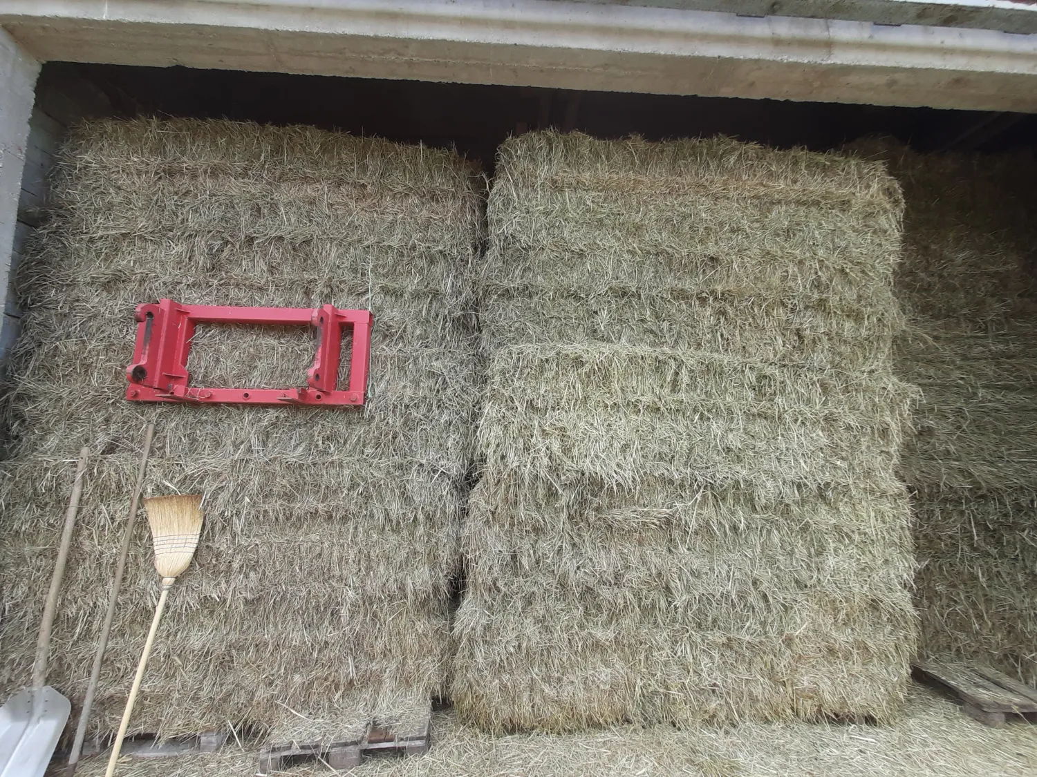 Heno de la primera siega, cosecha del 15/06, humedad 7-15%