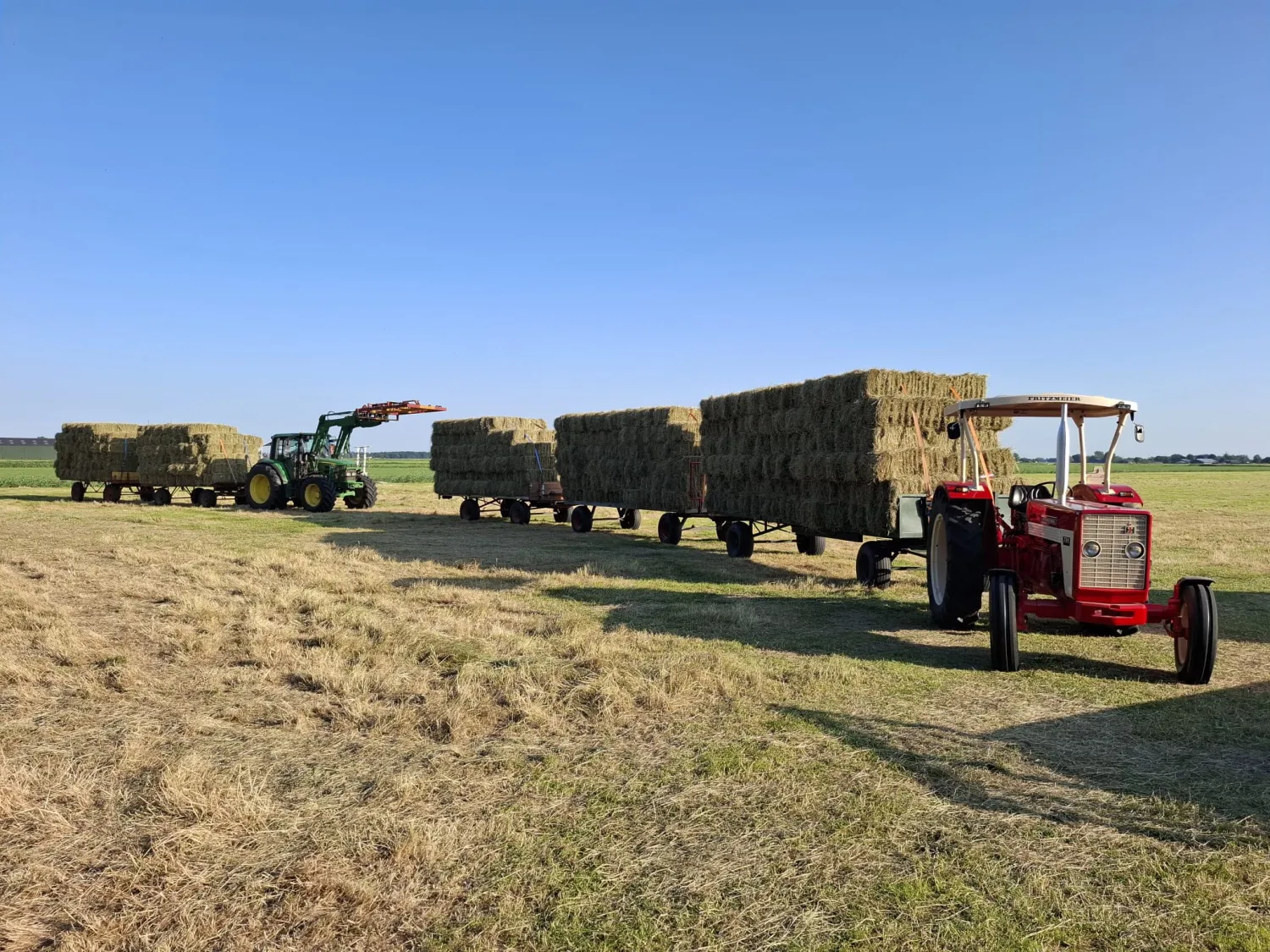 Kleine pakjes hooi te koop – Voordelig!