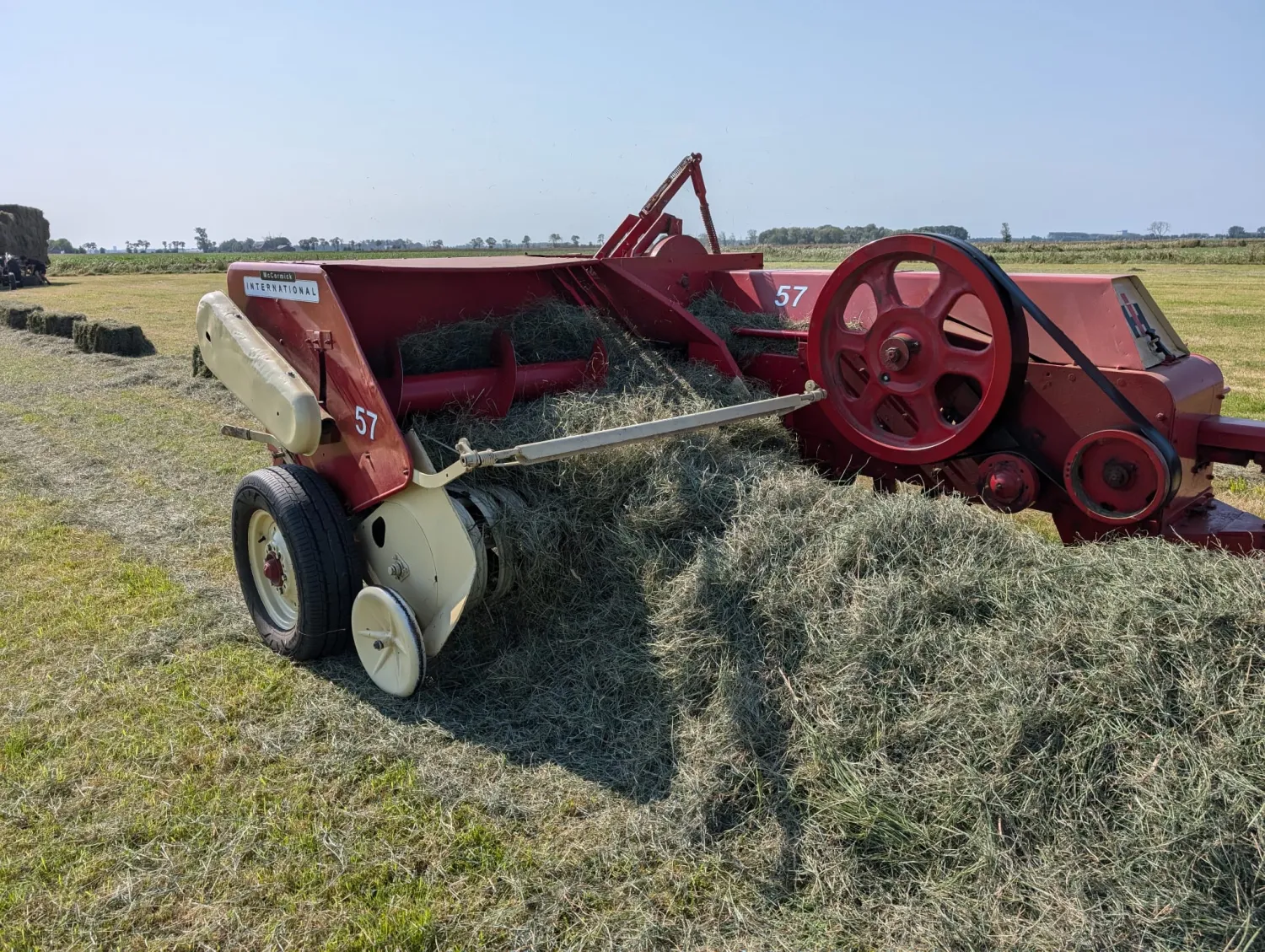 Kleine pakjes hooi te koop – Voordelig!