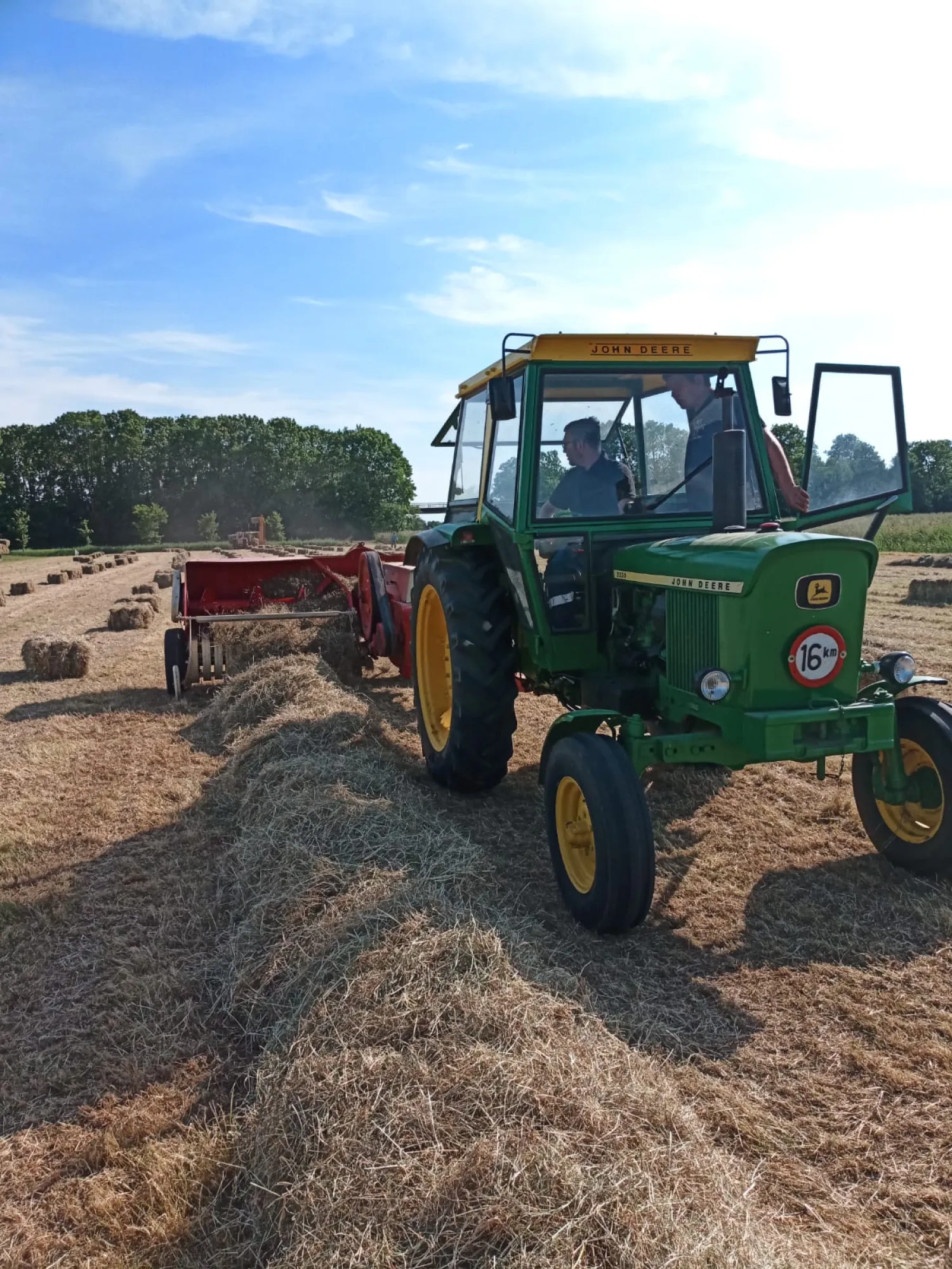 Kleine pakjes hooi te koop – Voordelig!