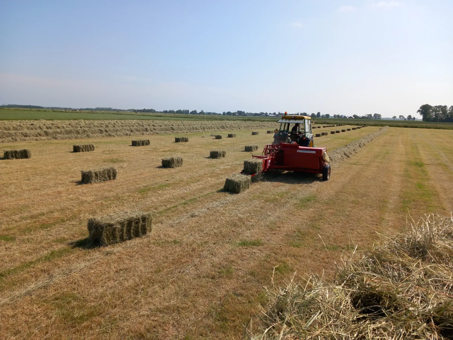 Kleine pakjes hooi te koop – Voordelig!