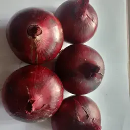 https://cdn.farmtrade.nl/media/170409/conversions/0OdhJ7-thumbnail.webp