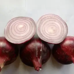 Køb løgfrø: Redmate, Red Baron & Delta Gigant