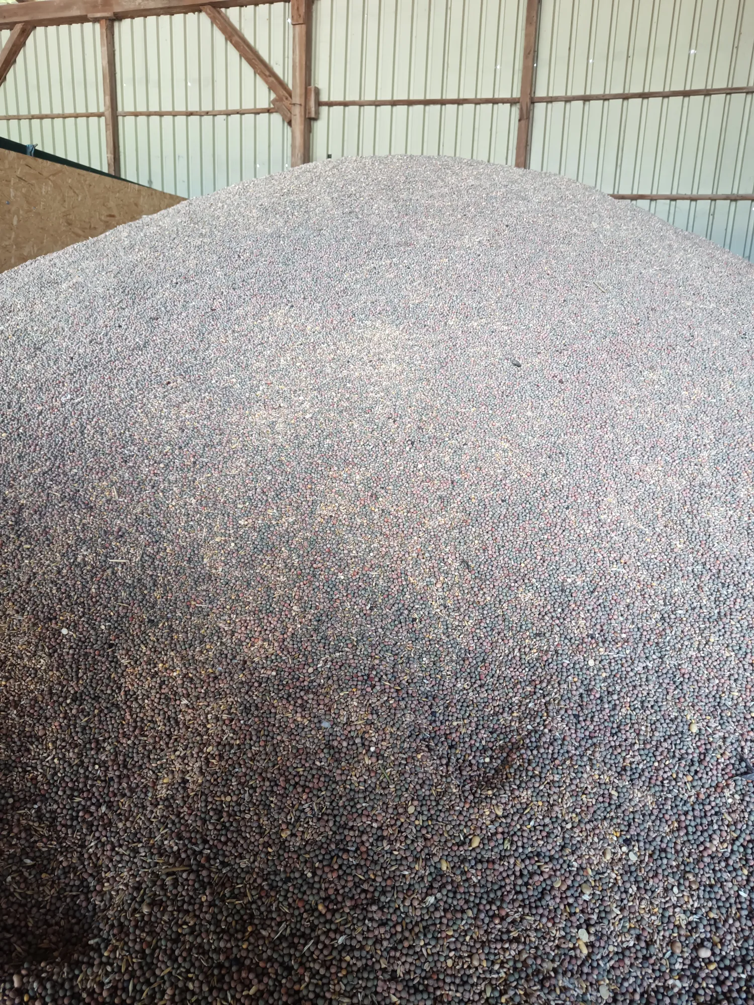 Biologische Erbsen-Weizenmischung, 50 Tonnen