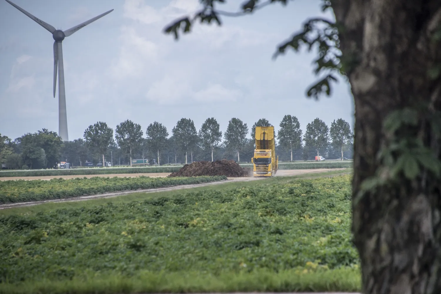 Champost, Compost & Vaste Mest - Direct Beschikbaar