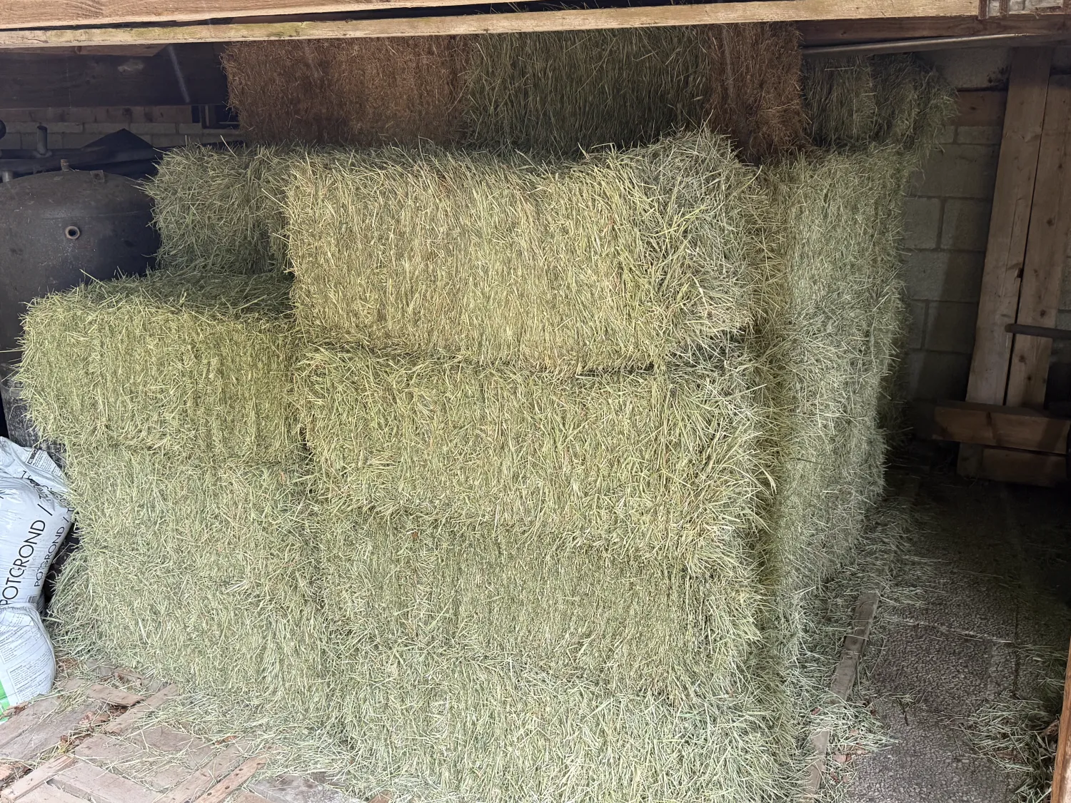 Kleine hooibalen te koop – Onkruidvrij, €5 per baal