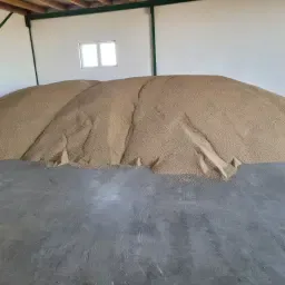 Foderhvede til salg | 50 tons tilgængelig