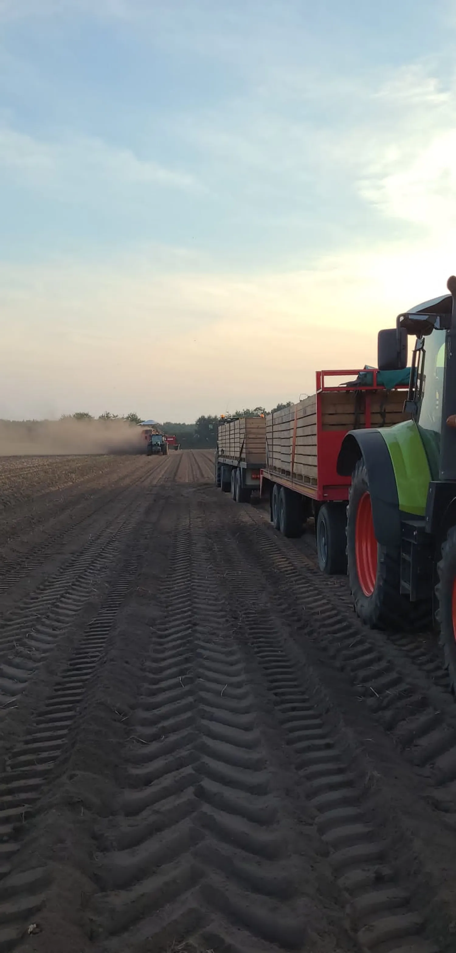 Medewerker gezocht voor aardappelteelt in Noordoostpolder