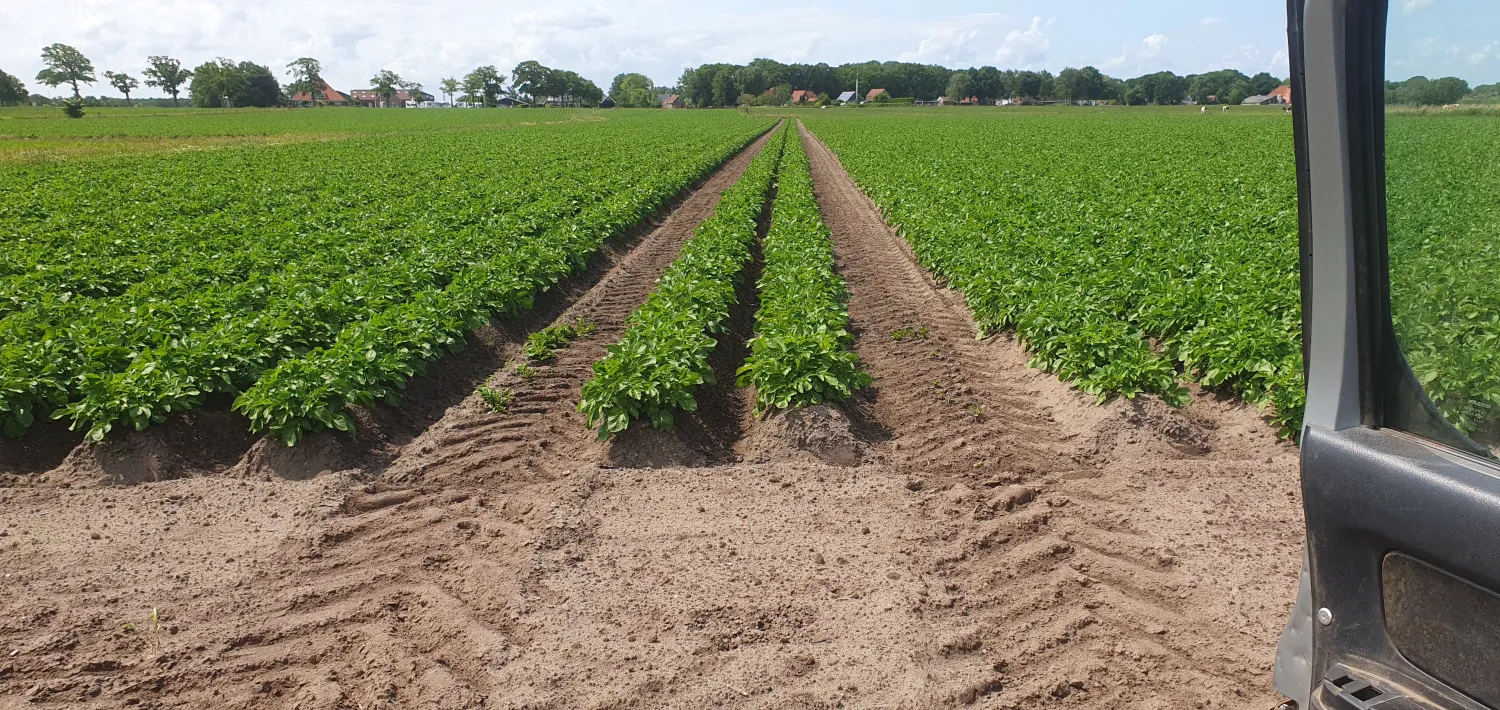Medewerker gezocht voor aardappelteelt in Noordoostpolder