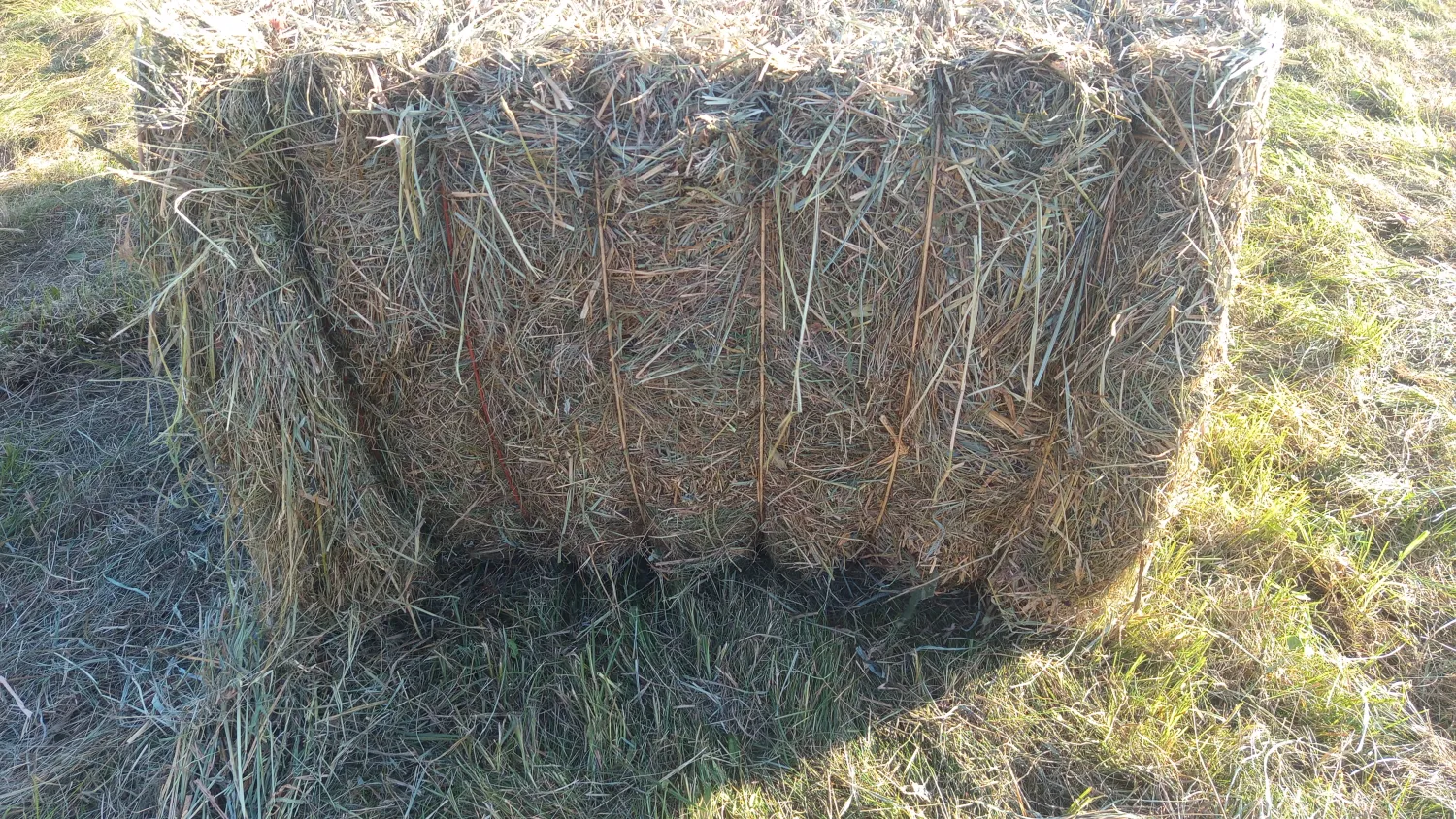 Heu zu verkaufen (Öko) – Preis nach Vereinbarung