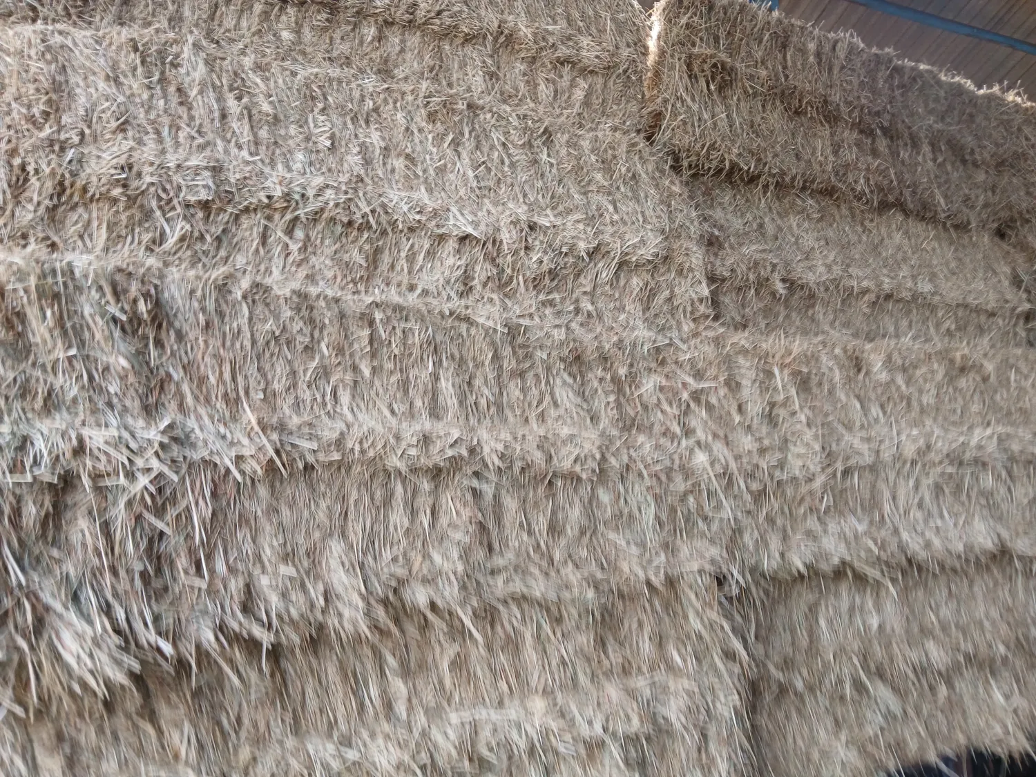 Grote pakken droog hooi te koop
