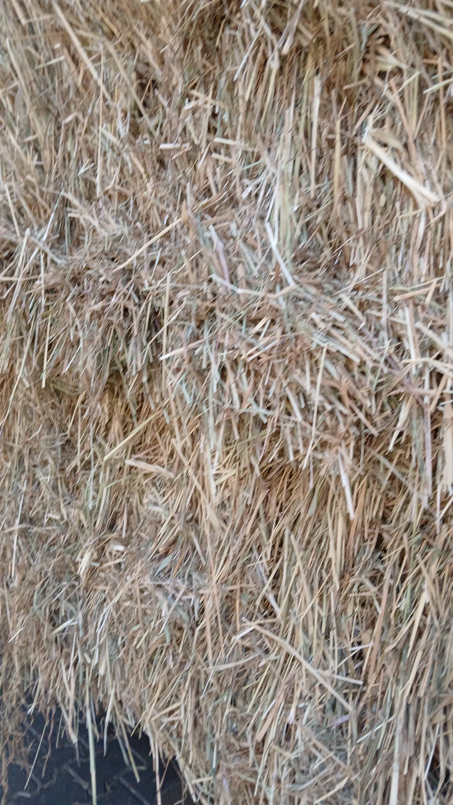 Grote pakken droog hooi te koop